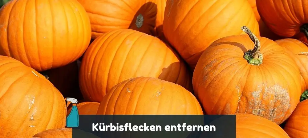 Kürbisflecken entfernen