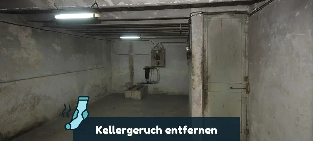 Kellergeruch entfernen