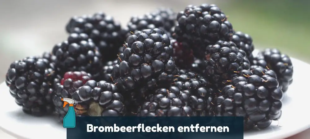 Brombeerflecken entfernen Anleitung