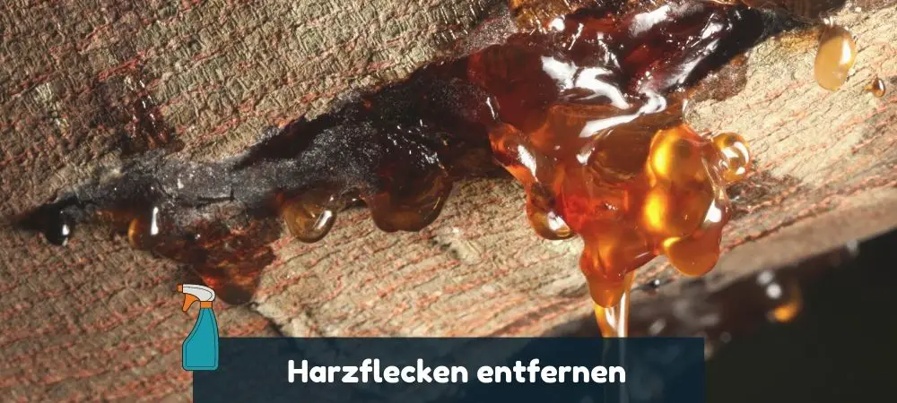 Harzflecken entfernen von Polstern, Textilien und Kleidung