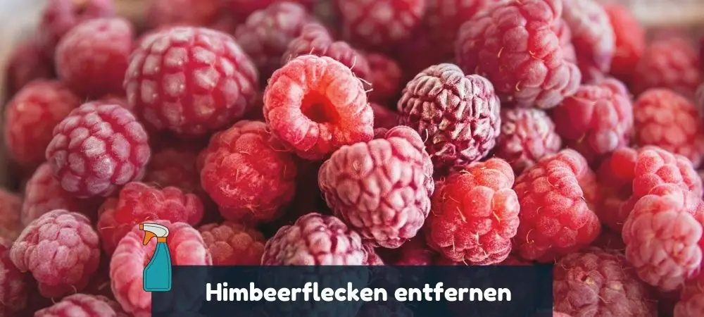 Himbeerflecken entfernen aus Textilien, Polstern und mehr