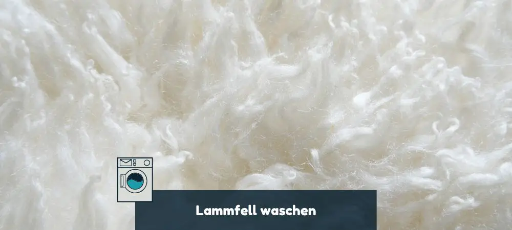 Anleitung für das Lammfell waschen