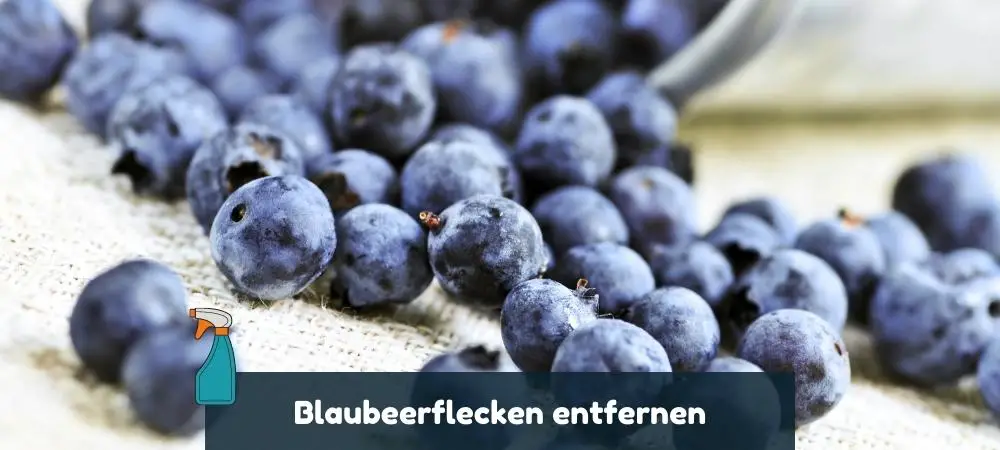 Blaubeerflecken entfernen eine Anleitung mit Tipps