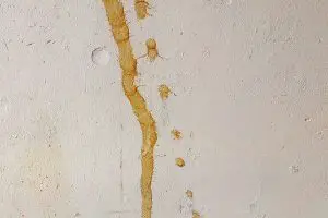 Kaffeeflecken auf der Wand entfernen