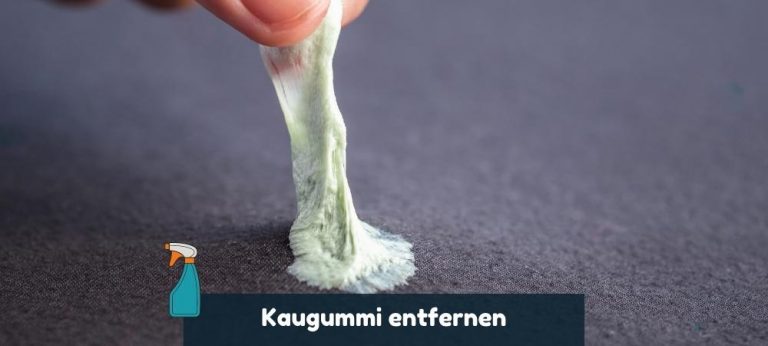 Wie Lange Braucht Ein Kaugummi Um Sich Zu Zersetzen www.putzgeheimnis.de