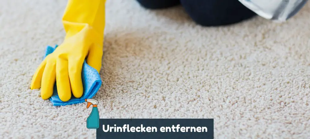 Urinflecken entfernen mit Hausmitteln